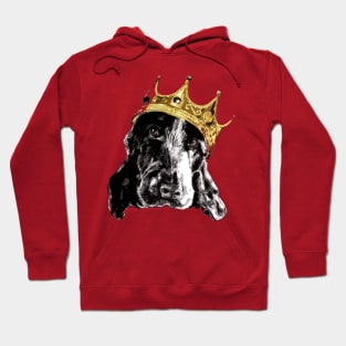 Notorious Ruby Hoodie